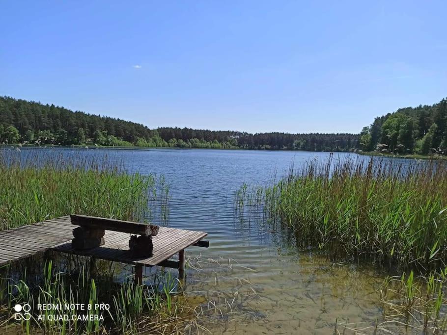 Sielska Oaza - Siedlisko Wiejskie Z Domem Calorocznym Villa Osiek  Exterior photo